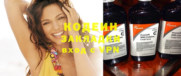 прущие грибы Новозыбков