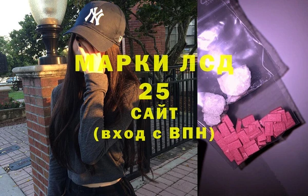 прущие грибы Новозыбков