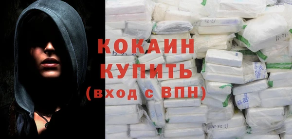 прущие грибы Новозыбков