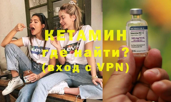 прущие грибы Новозыбков