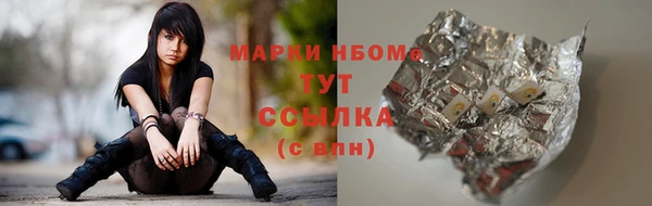 прущие грибы Новодвинск