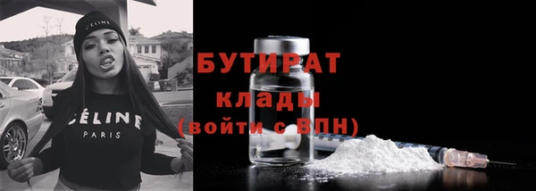 прущие грибы Новодвинск