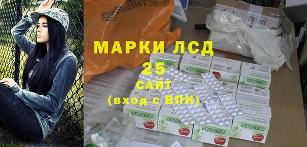 прущие грибы Новодвинск
