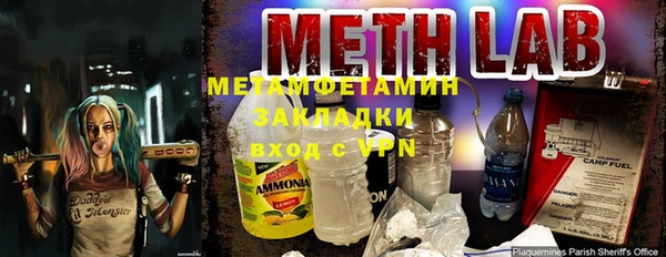 прущие грибы Новозыбков