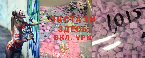 прущие грибы Новозыбков