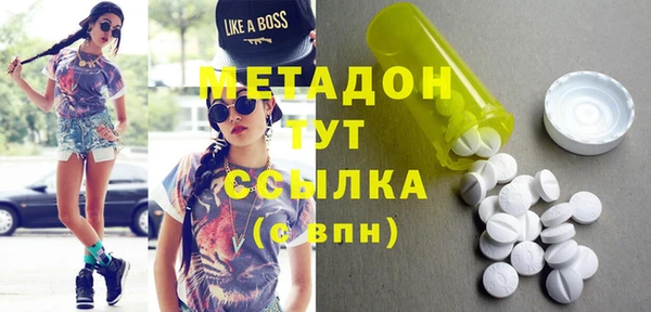 прущие грибы Новозыбков