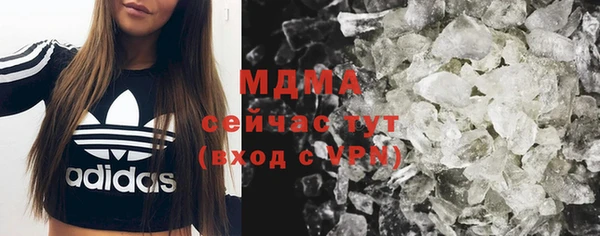 прущие грибы Новодвинск