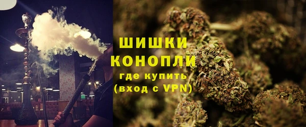 молекула духа Нягань
