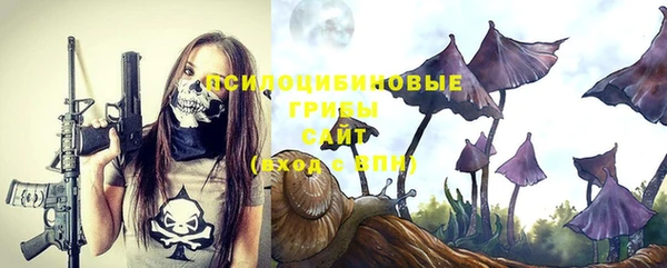 дурь Нязепетровск