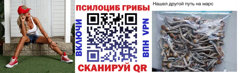 МЕГА ссылки  Менделеевск  Псилоцибиновые грибы ЛСД 