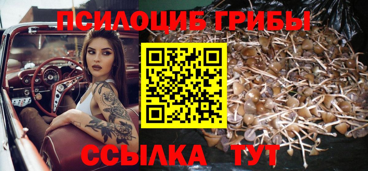 Псилоцибиновые грибы Cubensis  как найти наркотики  Менделеевск 